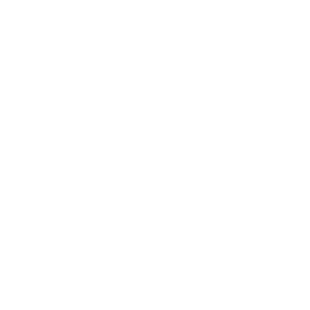 Model Context Protocol